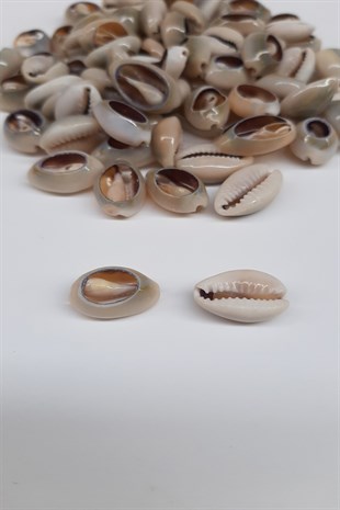 قذيفة بلح البحر القهوة