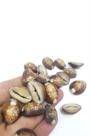Brown Shell Hound Beads