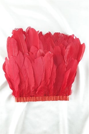 ريشة النسر الأحمر