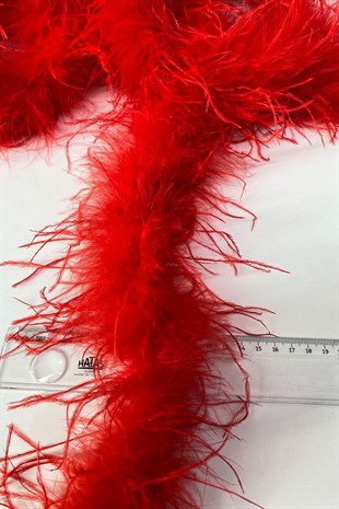 Red Malibu Ostrich Feather