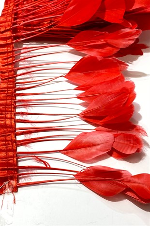 Red Malibu Ostrich Feather