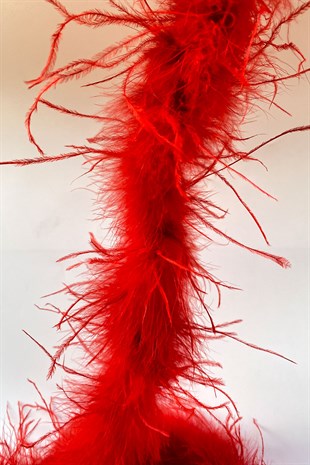 Red Malibu Ostrich Feather
