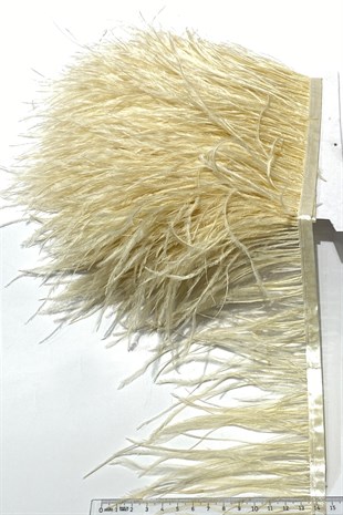Dark Cream Ostrich Feather 1 mt