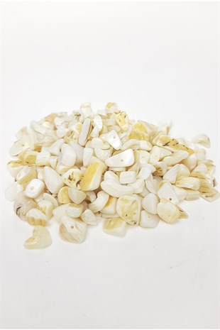 Cream Pebble Sea Shell