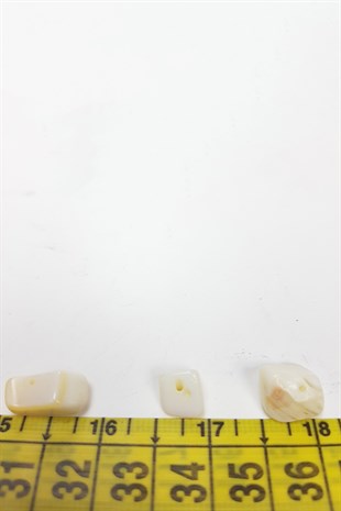 Cream Pebble Sea Shell