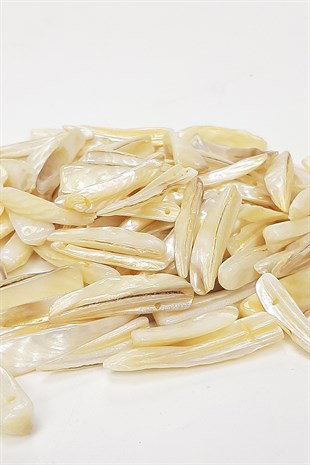 Cream Sword Pattern Sea Shell