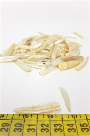 Cream Sword Pattern Sea Shell