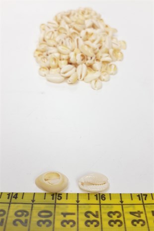 Cream Greyhound Bead Shell