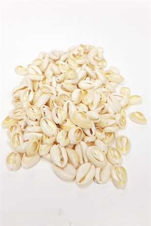 Cream Greyhound Bead Shell