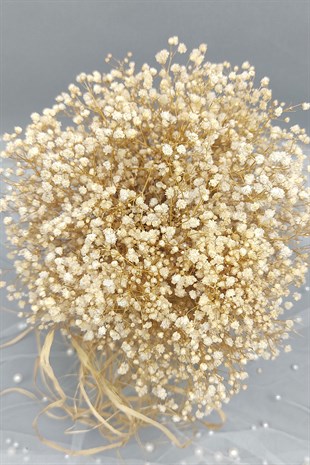 Kurutulmuş Dondurulmuş Cipso Gelin El Çiçeği Ve Damat Yaka Çiçeği