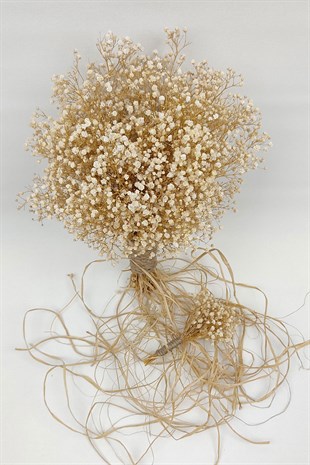 Kurutulmuş Dondurulmuş Cipso Gelin El Çiçeği Ve Damat Yaka Çiçeği