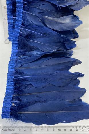 ريشة ريشة النسر الأزرق الداكن