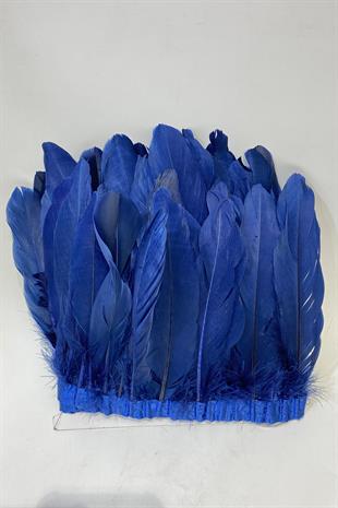 ريشة ريشة النسر الأزرق الداكن