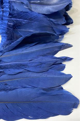 ريشة ريشة النسر الأزرق الداكن