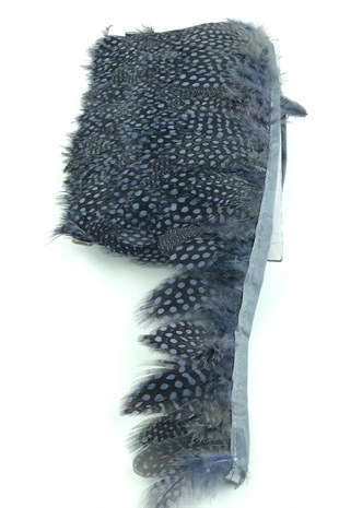Blue Gray Pointed Guinea Chicken Feather