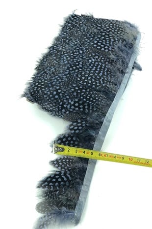 Blue Gray Pointed Guinea Chicken Feather