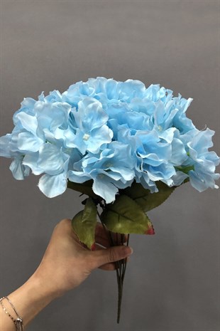 Mavi Ortanca Çiçek