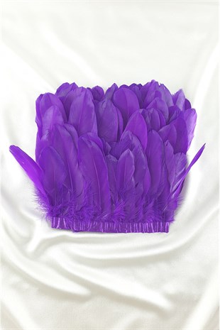 ريشة النسر الأرجواني