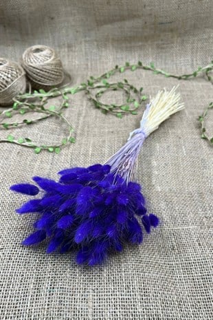 Cotton Grass Lagurus Natural Dried Flower