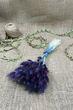 Cotton Grass Lagurus Natural Dried Flower