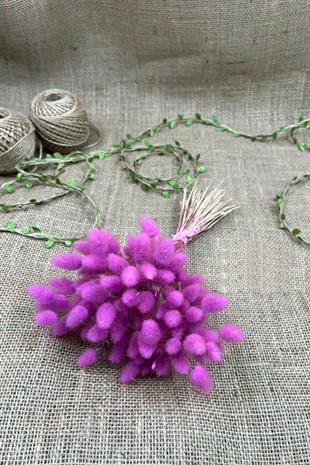 Cotton Grass Lagurus Natural Dried Flower