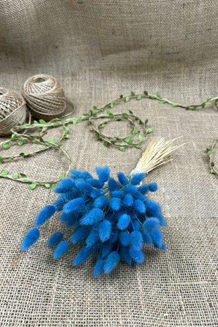 Cotton Grass Lagurus Natural Dried Flower