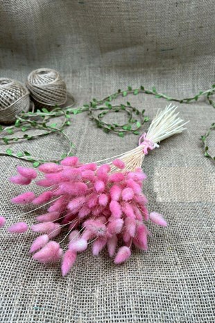 Cotton Grass Lagurus Natural Dried Flower
