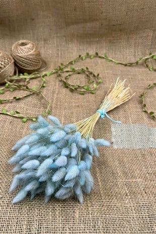 Cotton Grass Lagurus Natural Dried Flower