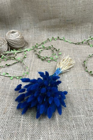 Cotton Grass Lagurus Natural Dried Flower