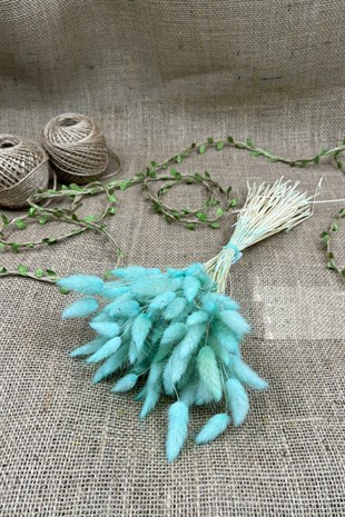 Cotton Grass Lagurus Natural Dried Flower