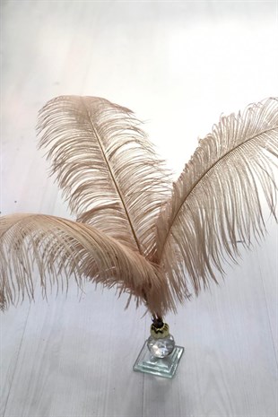 Powder Ostrich Feather 45-50 cm 1 piece