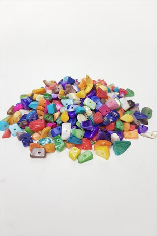 Colorful Pebble Sea Shell