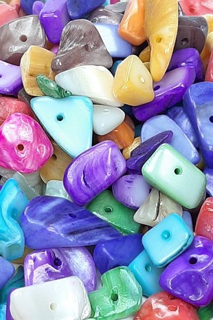 Colorful Pebble Sea Shell