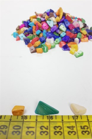 Colorful Pebble Sea Shell