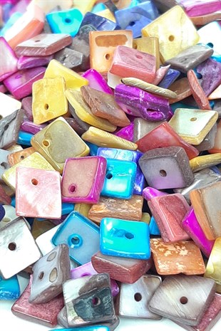Colorful Mother of Pearl Pattern Sea Shell
