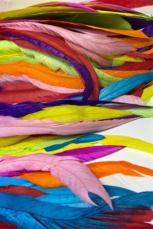 Rengarenk Uzun Şandel Tüyü 