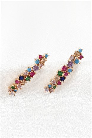 Rose Yaprak Desenli Renkli Kıkırdak Küpe