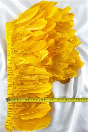 ريشة النسر الأصفر