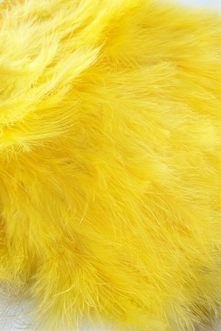 Yellow Yeast Feather