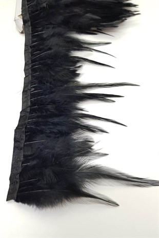 ريش الديك الأسود 1 متر