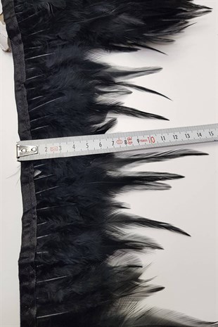 ريش الديك الأسود 1 متر