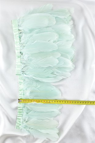 ريشة النسر الأخضر المائي