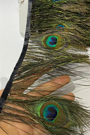 Tavuz Kuşu Tüyü 1 mt