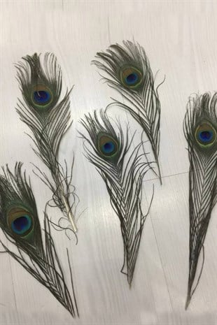 ريشة الطاووس 25-27 سم 1 قطعة