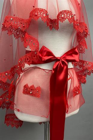 الجملة أليسا الدانتيل الحجاب الزفاف الحناء الوجه الحجاب