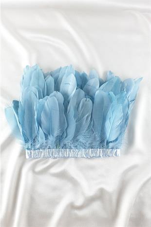 الجملة الطفل ريشة النسر الأزرق