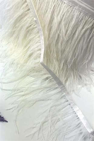 الجملة النعامة البيضاء 9 م الشريط