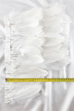 الجملة ريشة النسر الأبيض