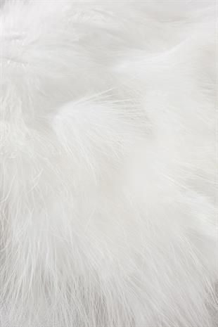 الجملة ريشة الخميرة البيضاء