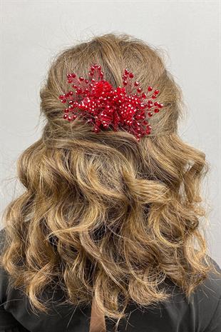 الجملة ريجل بورجوندي صدفي مقطع الشعر